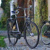 Pashley Roadster Sovereign 20.5″